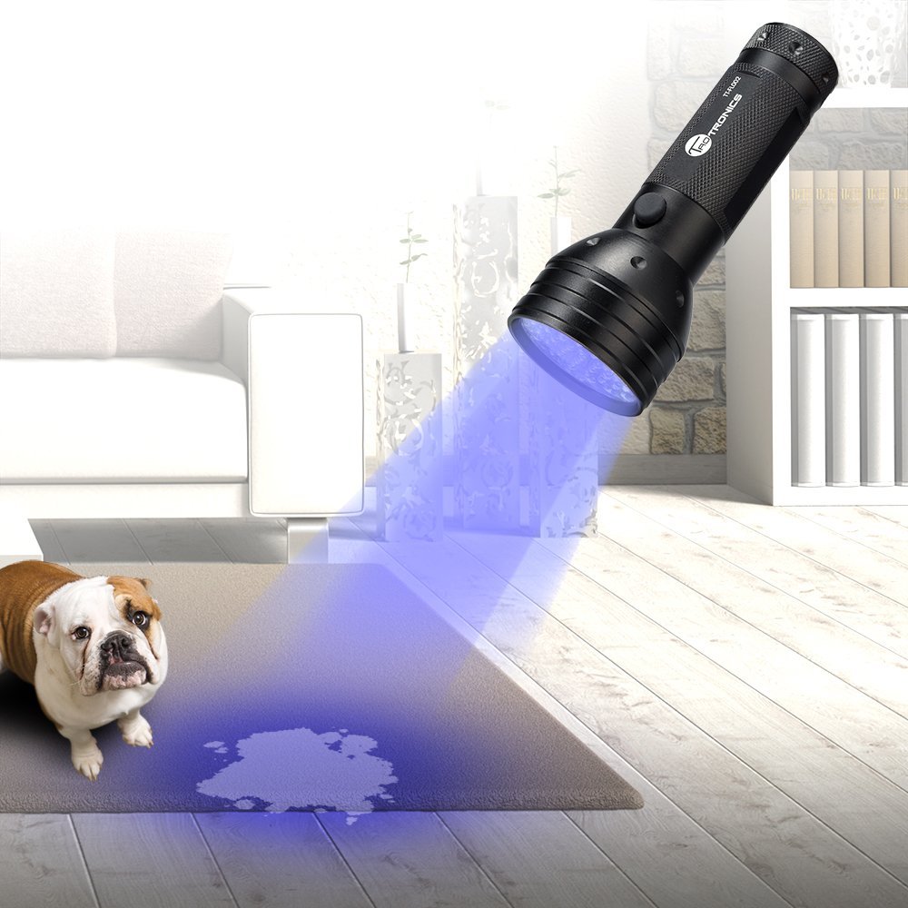 71fyl1pqwwl-_sl1000_