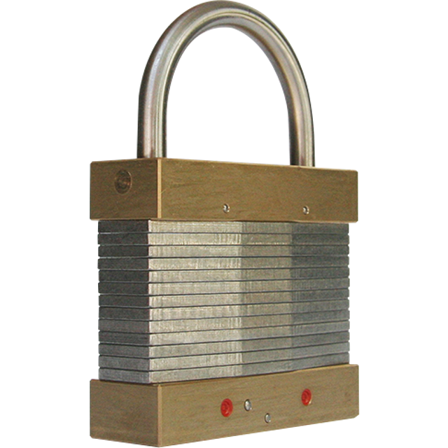A T10 tick lock produced by Popplock. It is steel and brass, and looks like it has a laminated construction (but it isn't).