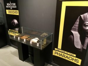 In-game: The New York History Museum's Egypt exhibit. A large glass display case filled with artifacts.