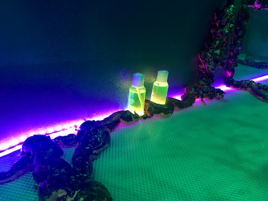 In-game: a grim, glowing lab environment with menacing strands of unusual life running along the walls.