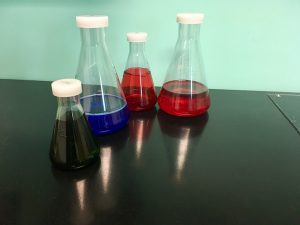 In-game: A collection of lab flasks filled with colored liquids.