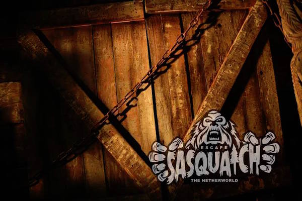 In-game: A wood door chained shut.