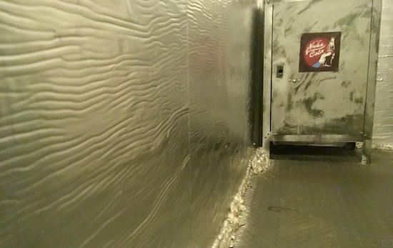 In-game: A Nuka Cola cabinet.