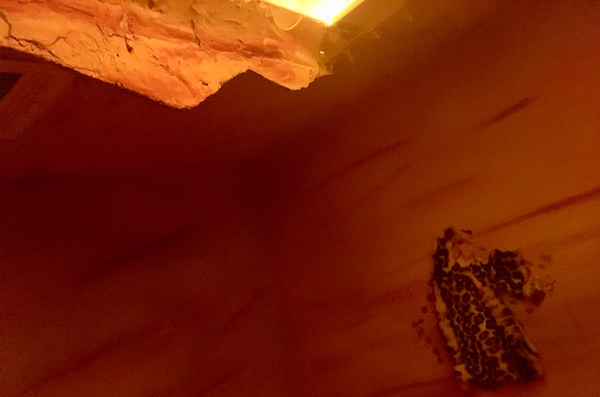 In-game: The walls of the cave with a pelt on the wall, and light shining in from above. 