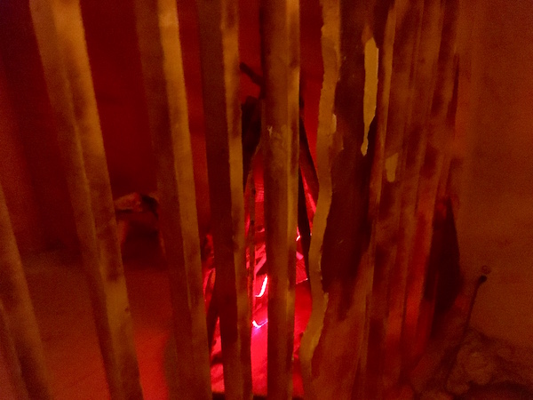 PanIQ Room – Primal Quest [Review]