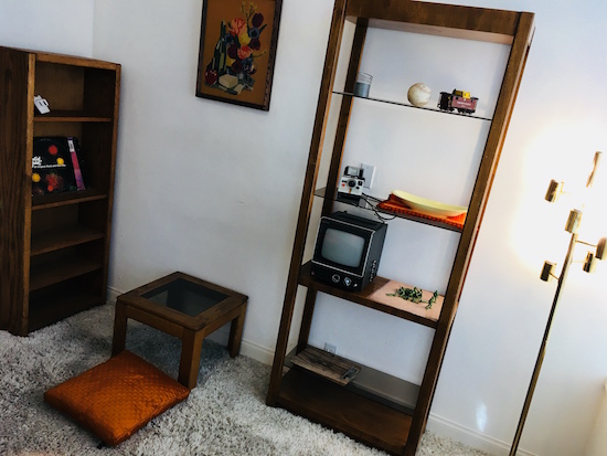 In-game: a 1970s living room with a small TV and Polaroid camera.