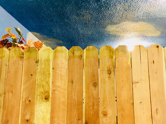 In-game: a dog's view of a wood fence.