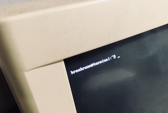 In-game: a close up of a CRT monitor with a DOS prompt reading, "breakroom terminal."