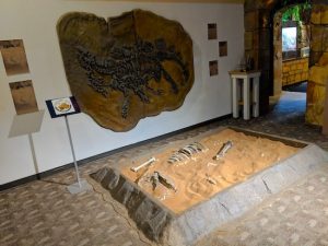 A dinosaur fossil on the wall, and a sandpit with dinosaur bones at the Museum of Intrigue.