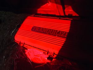 In-game: a case for a tranquilizer gun.