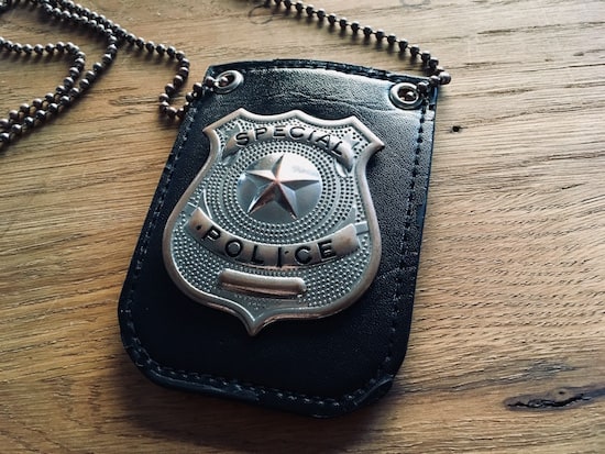 In-game: A "special police" badge.