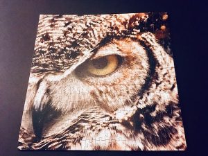 The assembled puzzle with a fierce looking owl face.