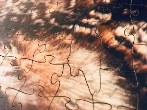 Closeup of an owl whimsy piece set within the assembled puzzle.