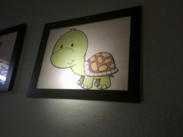 In-game: An image of a cartoon turtle hanging on the wall of a dark room.