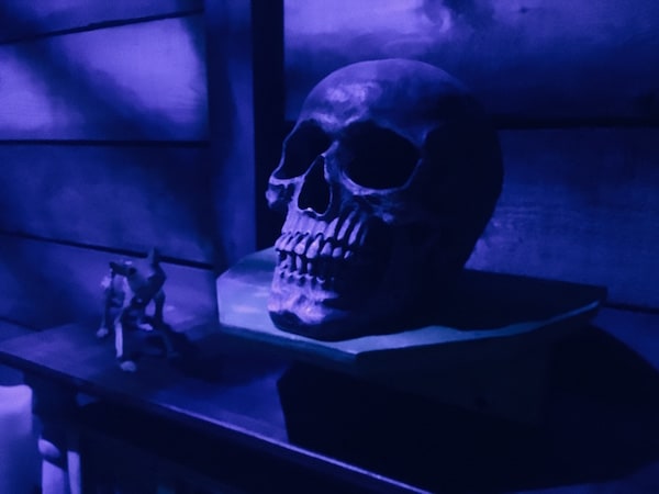 In-game: closeup of a human skull.