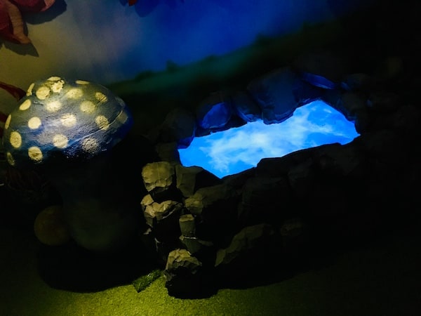 In-game: A pool of water in the woods.