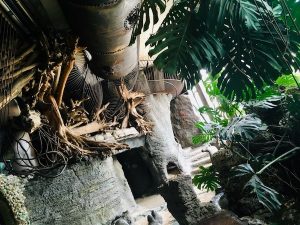 A jungle castle environment with metal tubes for climbing.