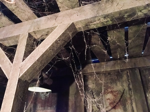 In-game: The cobweb covered ceiling of the Cellar Escape.