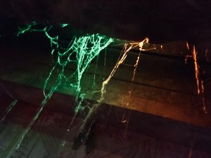 In-game: Cobwebs hanging from the ceiling.