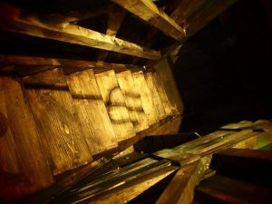 In-game: a narrow wooden stairwell the shadow of a trident