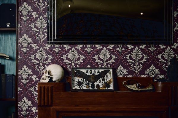 A skull and preserved bugs in 221B Baker Street.