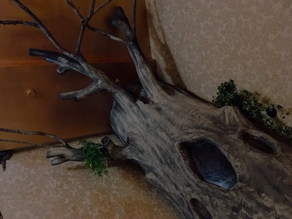 In-game: a large tree growing out of the wall with a strange hole in it.