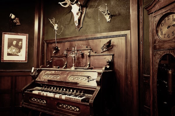 In-game: an old dusty organ in a study, the walls are adorned with trophy skulls and taxidermy birds.
