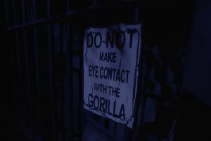 In-game: A sign reads, "Do not make eye contact with the gorilla."