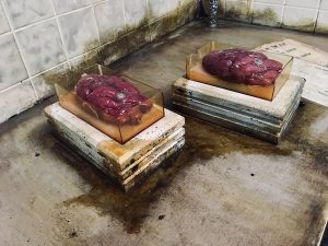 In-game: 2 gross containers each with a human heart within.