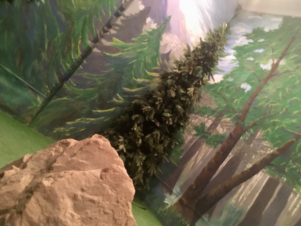 In-game: A large rock and tree before an expansive mountain/ forest mural.