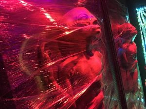 In-game: 2 aliens presrved and mounted to the wall.