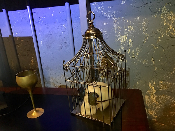 In-game: a bird cage with a glasses wearing skull.