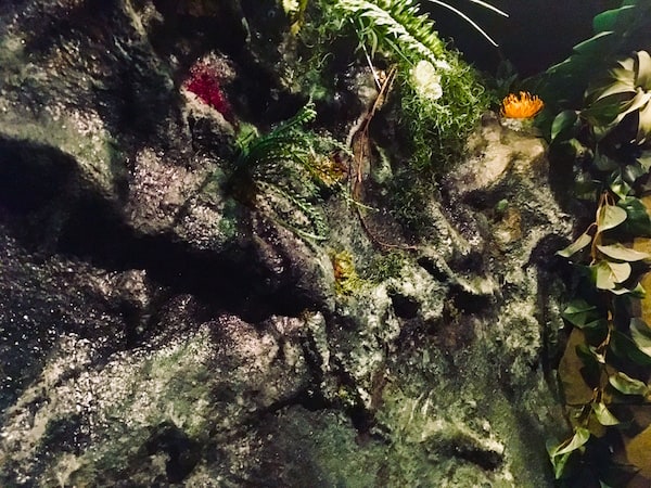 In-game: An earthy wall of stone and plant life.