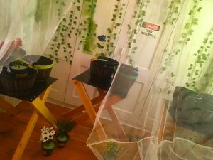 In-game: flower pots in a makeshift greenhouse