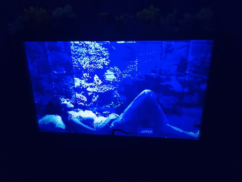 In-game: The mermaid's tank, she is laying in it sleeping.