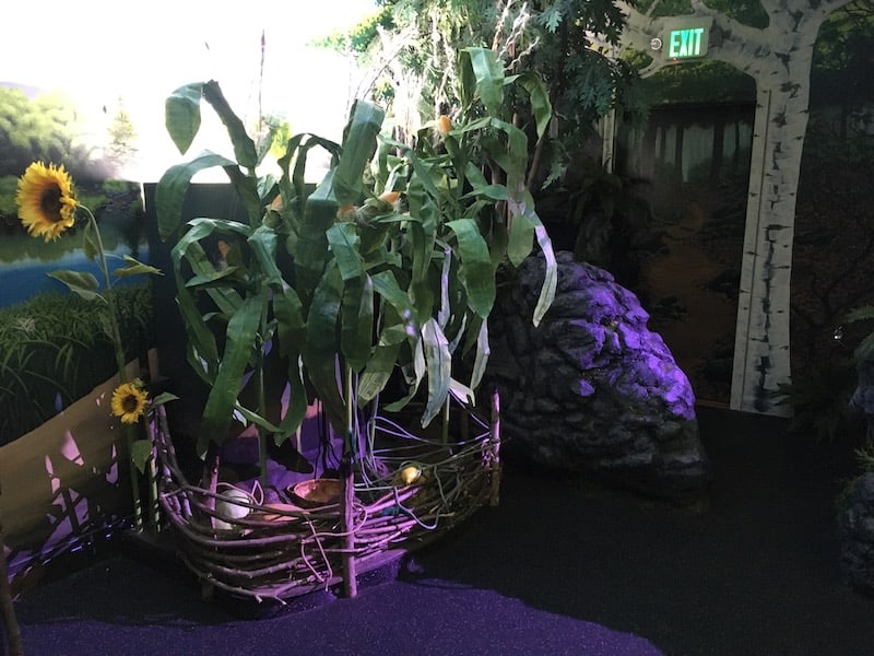 In-game: A guarden with corn, sunflowers, and other veggies growing.