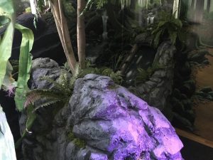 In-game: A stream running through the woods.