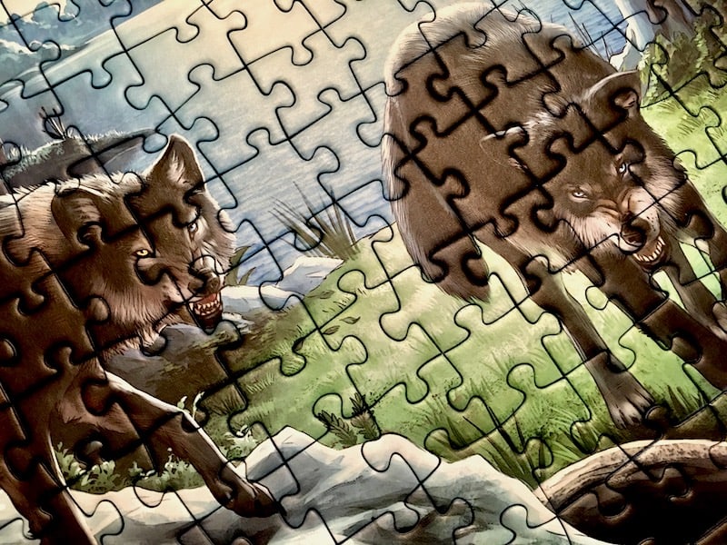 Portion of the puzzle - a closeup of two wolves.
