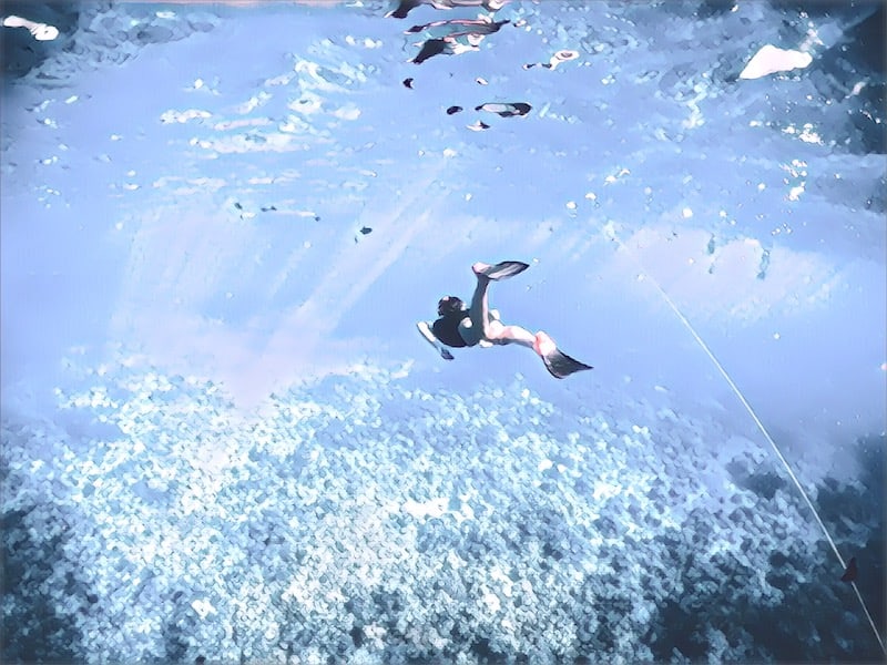 A swimmer with fins free diving under water.