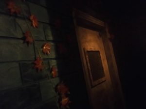 In-lobby: A stone wall covered in orange leaves beside an old door.