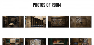 A gallery of photos taken within the game.