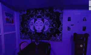 A purple lit room with mystical artwork hanging on the wall.