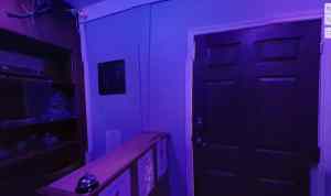 A purple lit store front with a bell on the desk.