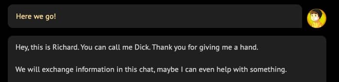 In-game text chat, the main character exclaims, "Hey, this is Richard You can call me Dick. Thank you for giving me a hand."