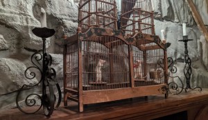 In-game: A pair of old mouse cages inside of an old magic shop, each with a mouse within.