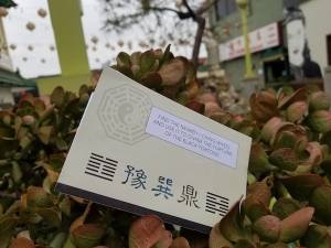 A paper clue sitting in a bush. The text reads "Find the nearby I Ching wheel and use it to divine the fortune of the Black Tortoise."