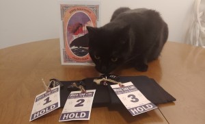 Black cat inspecting a series of locked backs with White Star Line First Class baggage tags.