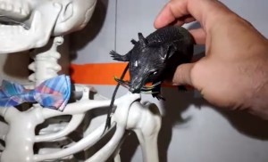 Avatar holding a plastic rat beside a plastic human skeleton wearing a bowtie.