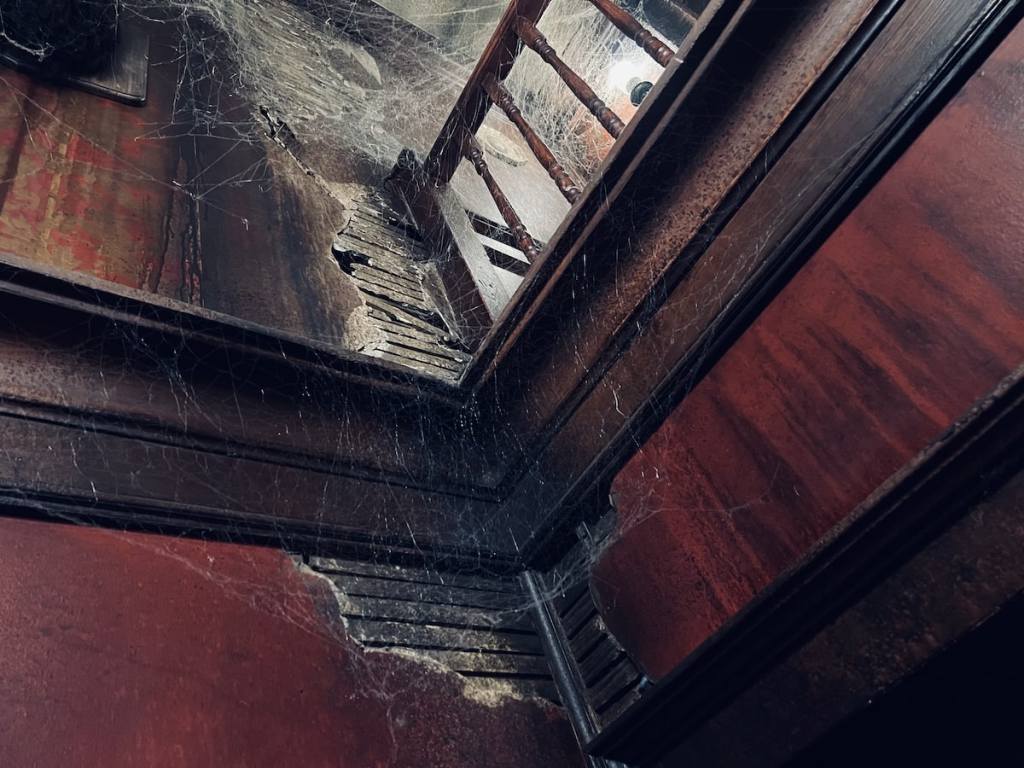 Closeup of cobwebbed and damaged plaster walls.