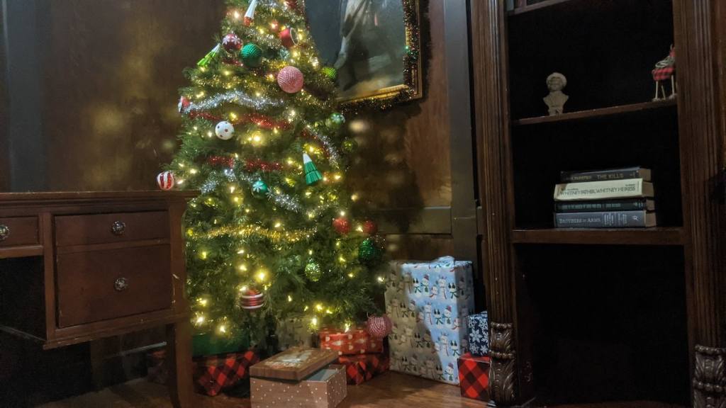 A Christmas tree decorated, with presents under it